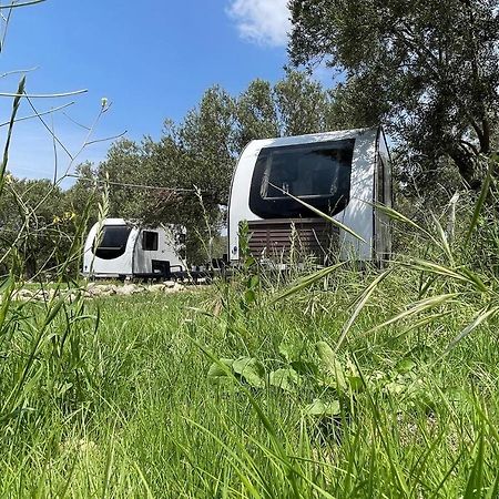 דיקילי Bademli Caravan Garden מראה חיצוני תמונה