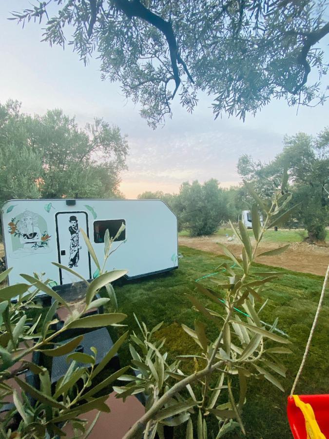 דיקילי Bademli Caravan Garden מראה חיצוני תמונה