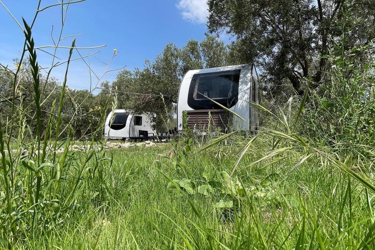 דיקילי Bademli Caravan Garden מראה חיצוני תמונה