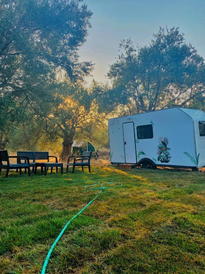 דיקילי Bademli Caravan Garden מראה חיצוני תמונה