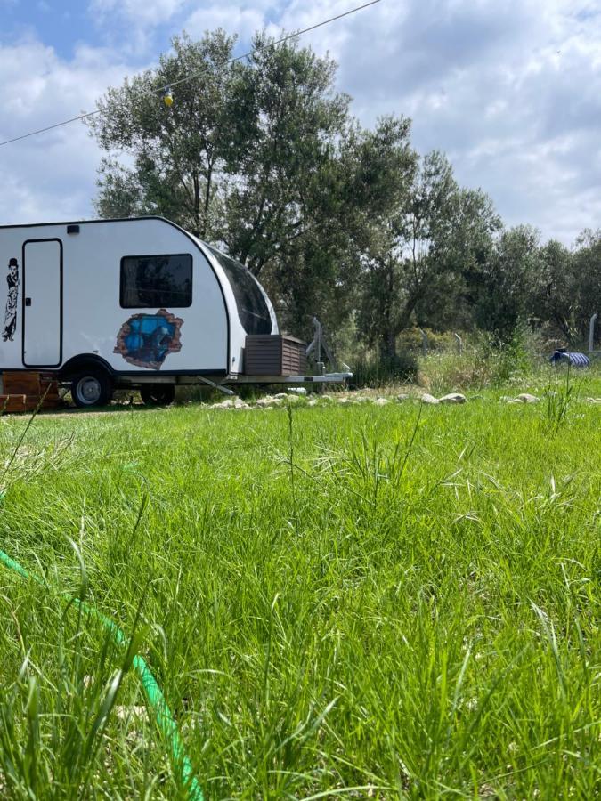 דיקילי Bademli Caravan Garden מראה חיצוני תמונה