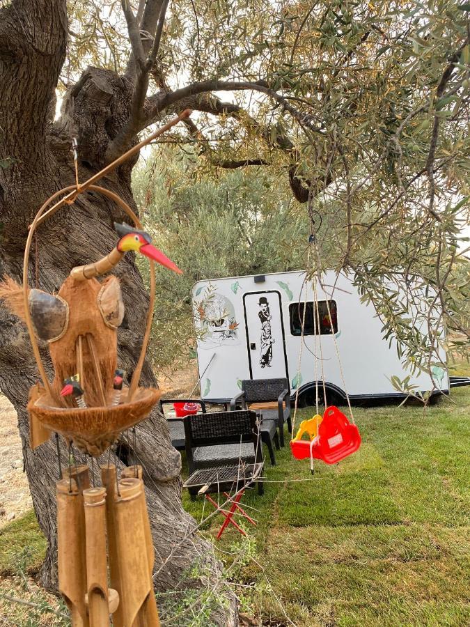 דיקילי Bademli Caravan Garden מראה חיצוני תמונה