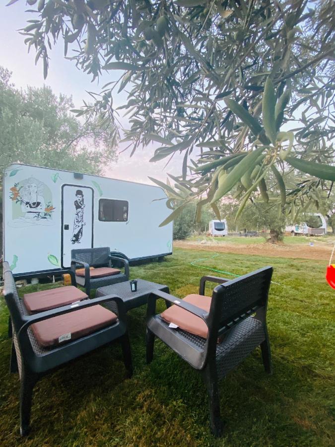 דיקילי Bademli Caravan Garden מראה חיצוני תמונה