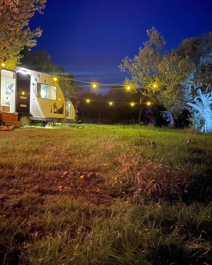 דיקילי Bademli Caravan Garden מראה חיצוני תמונה